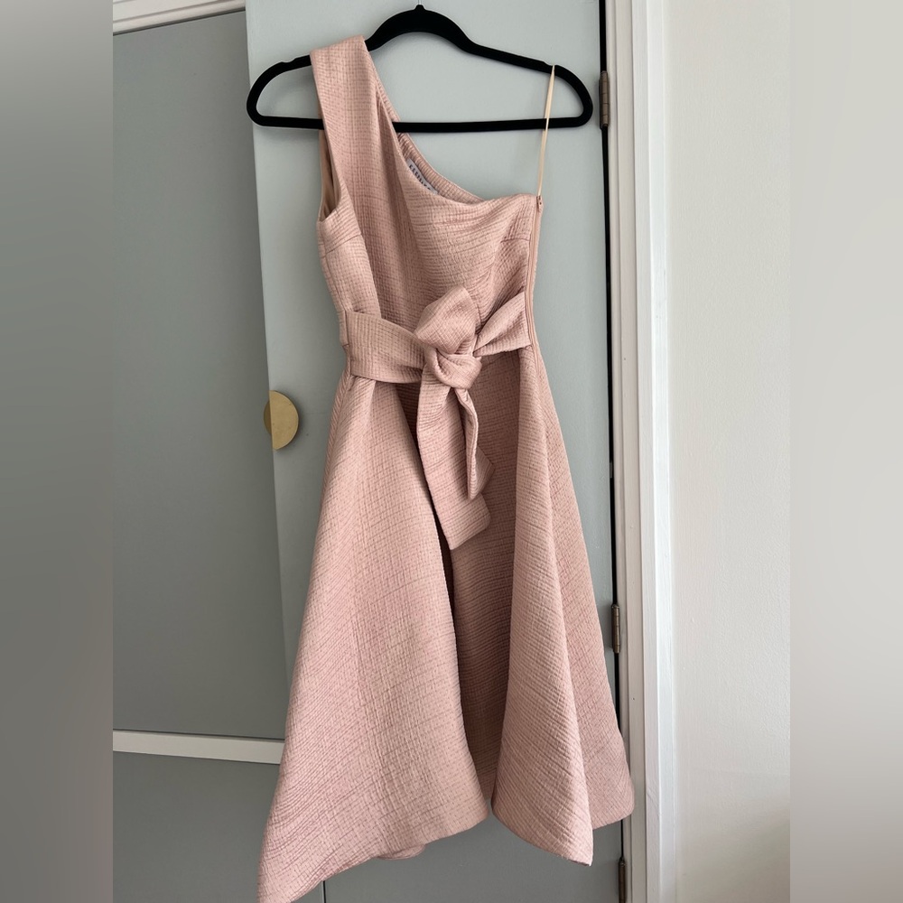 Keepsake Textured Blush Pink Dress